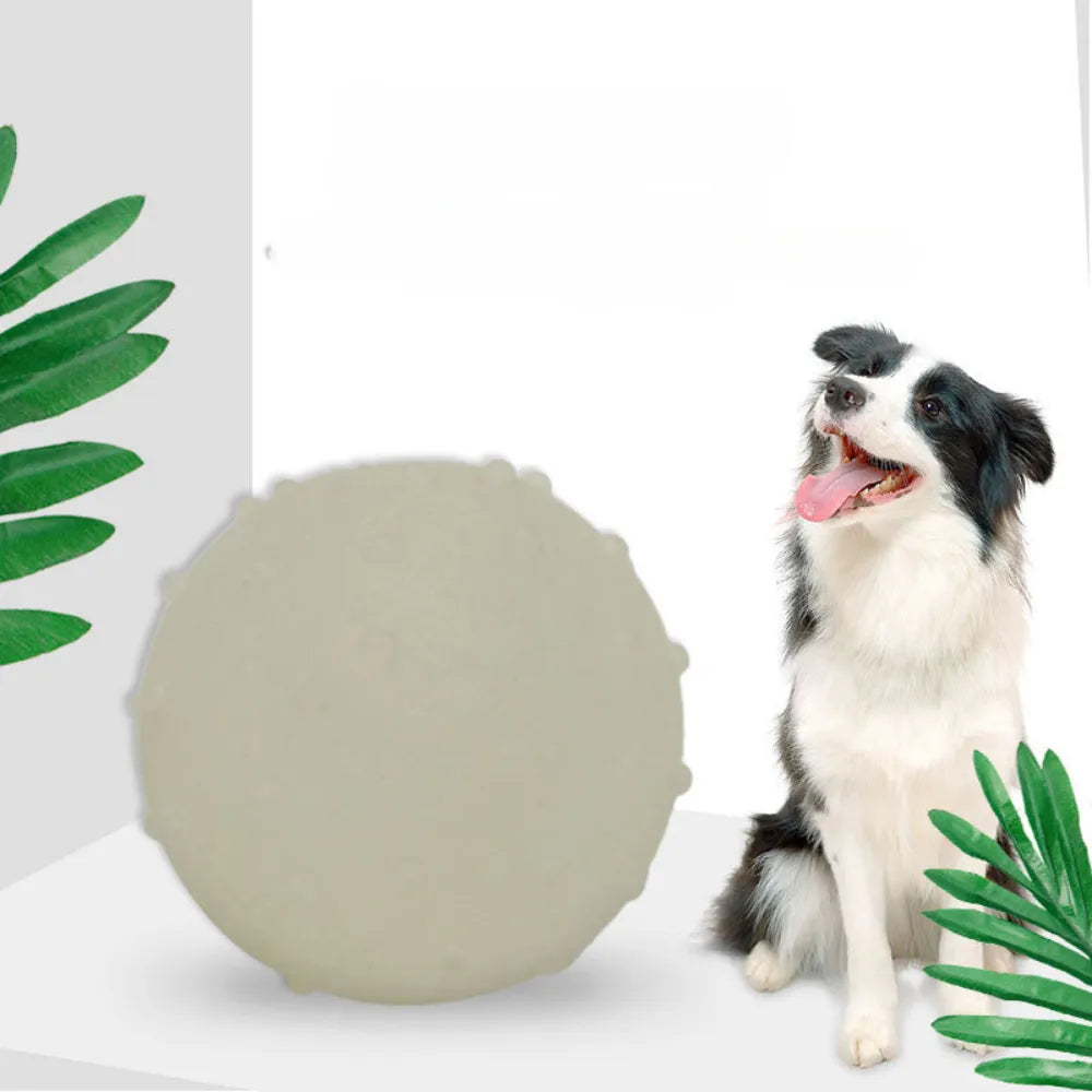 https://cdn.petfairs.com/pfblob/upload/20241230/3d3de8c6ad1fc7cedcc2a8f4aa0c74fa.webp