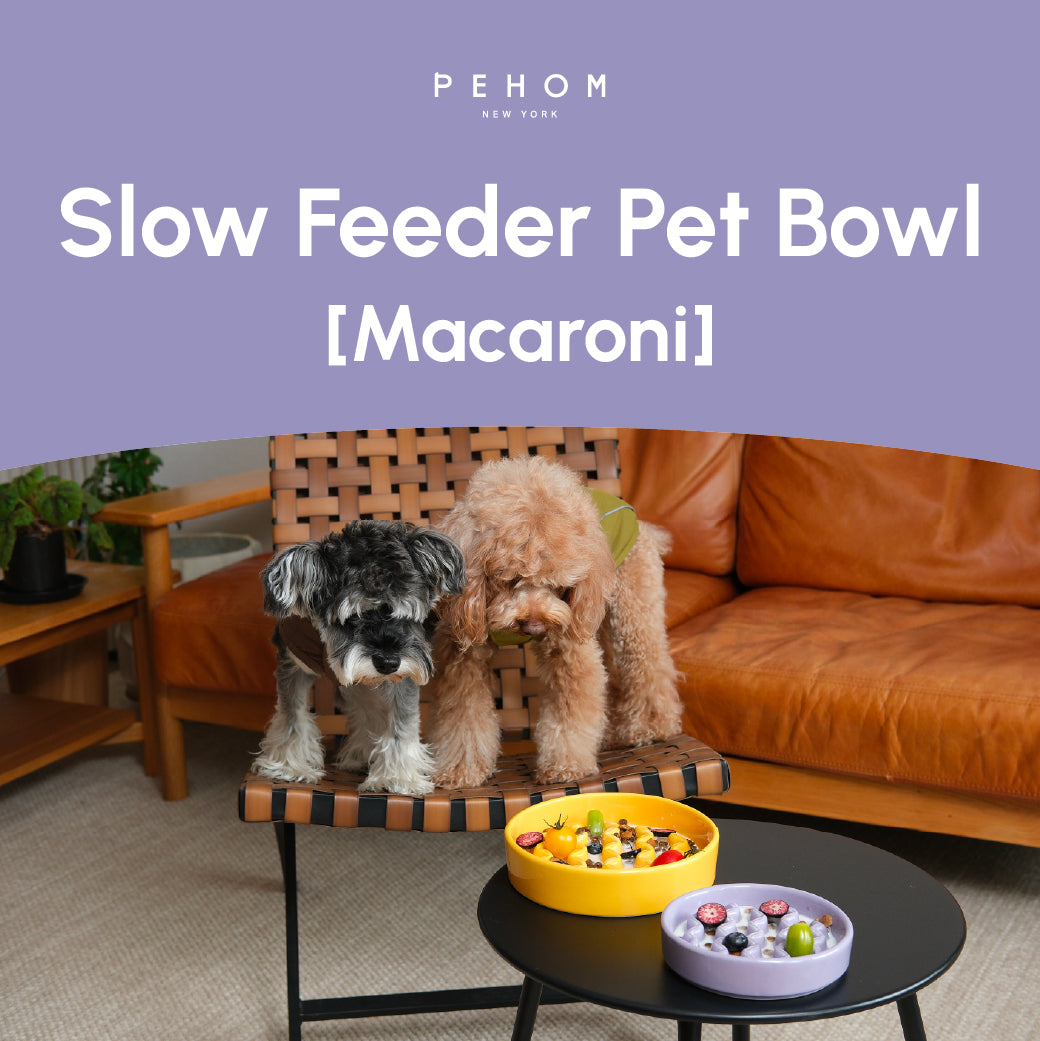 Slow Feeder Dog Bowls for Healthy Eating and Better Digestion - Whisker 'N Wag