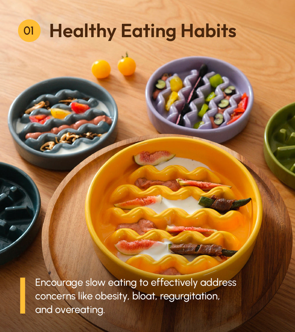 Slow Feeder Dog Bowls for Healthy Eating and Better Digestion - Whisker 'N Wag