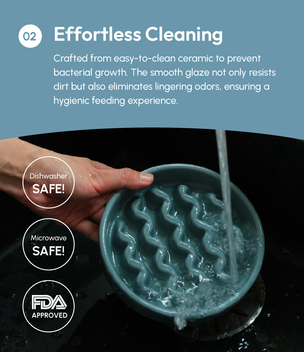 Slow Feeder Dog Bowls for Healthy Eating and Better Digestion - Whisker 'N Wag