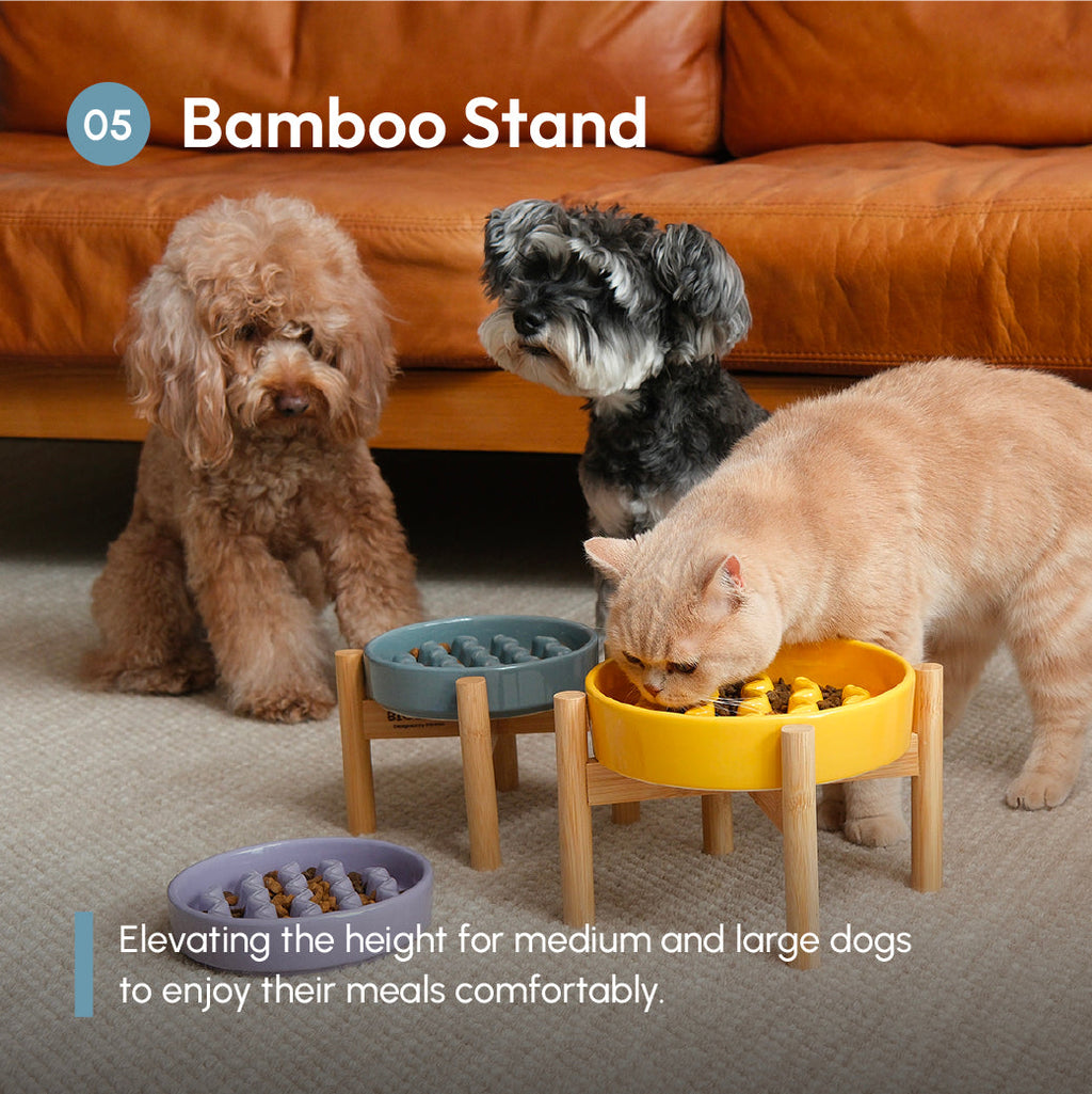 Slow Feeder Dog Bowls for Healthy Eating and Better Digestion - Whisker 'N Wag