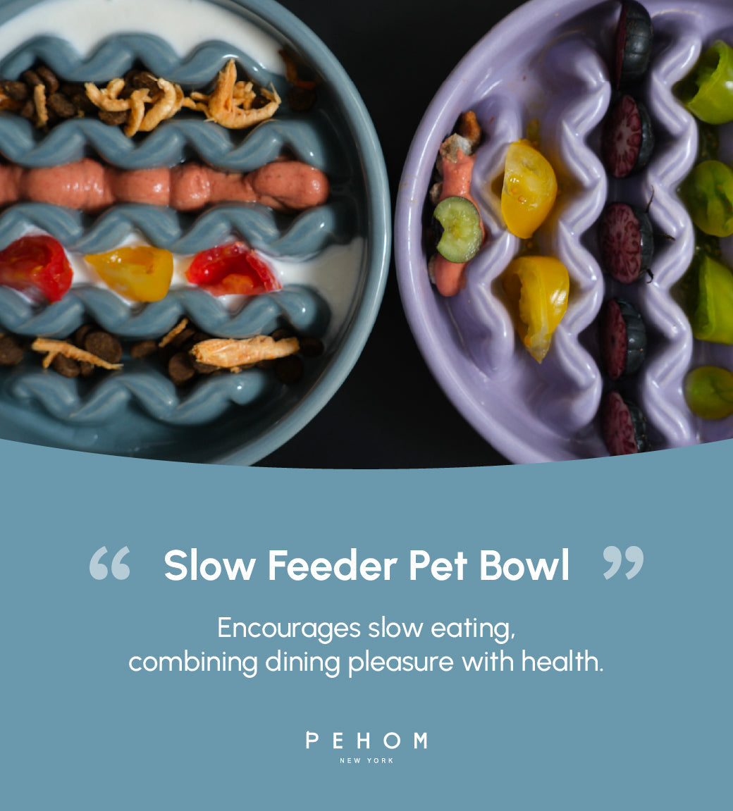 Slow Feeder Dog Bowls for Healthy Eating and Better Digestion - Whisker 'N Wag