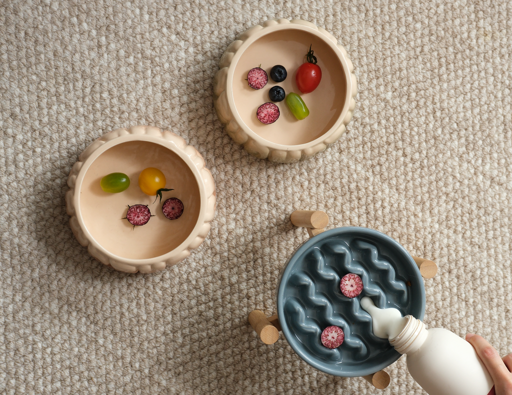 Slow Feeder Dog Bowls for Healthy Eating and Better Digestion - Whisker 'N Wag