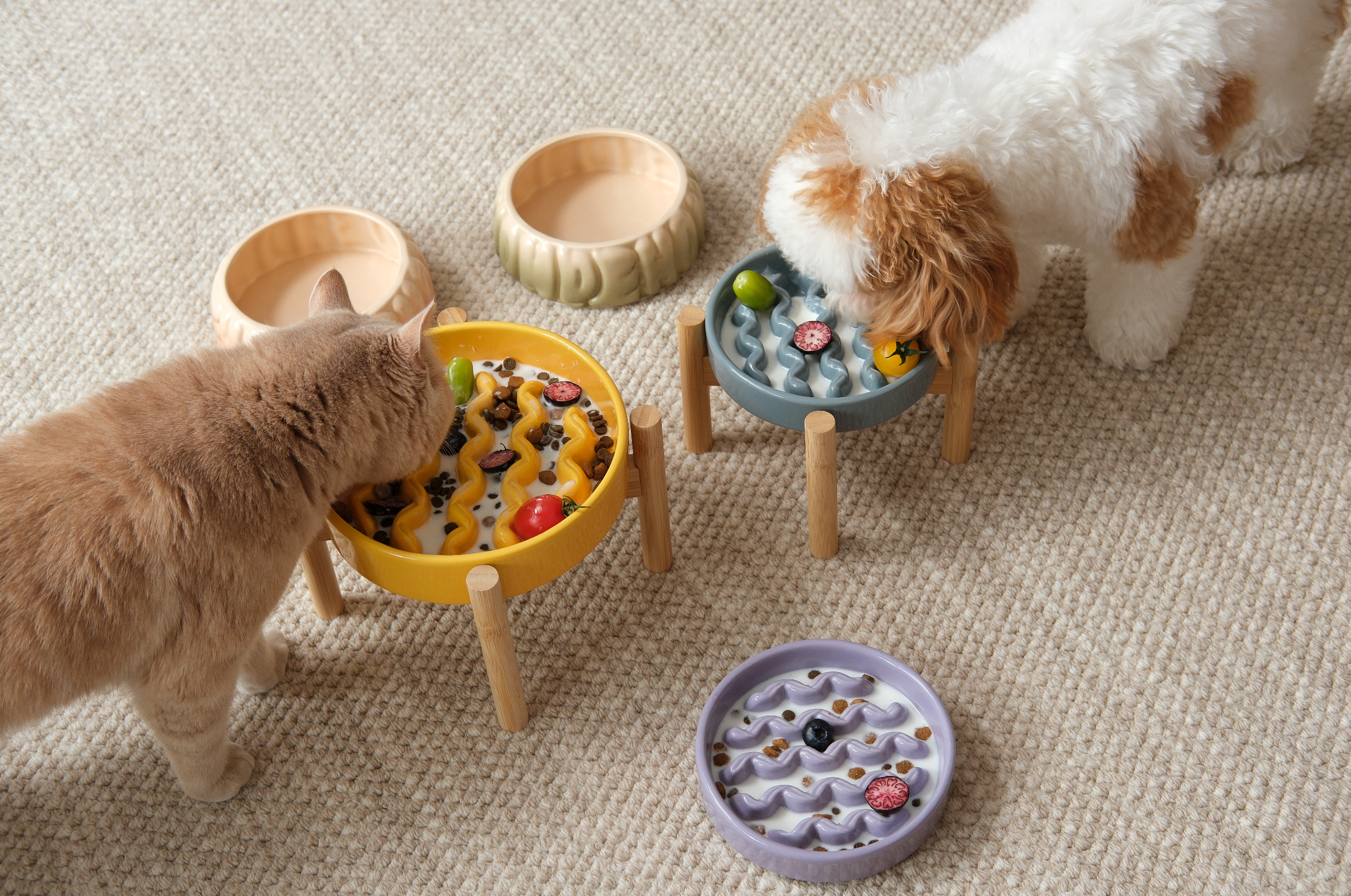 Slow Feeder Dog Bowls - Yellow / Frozen Blue / Purple