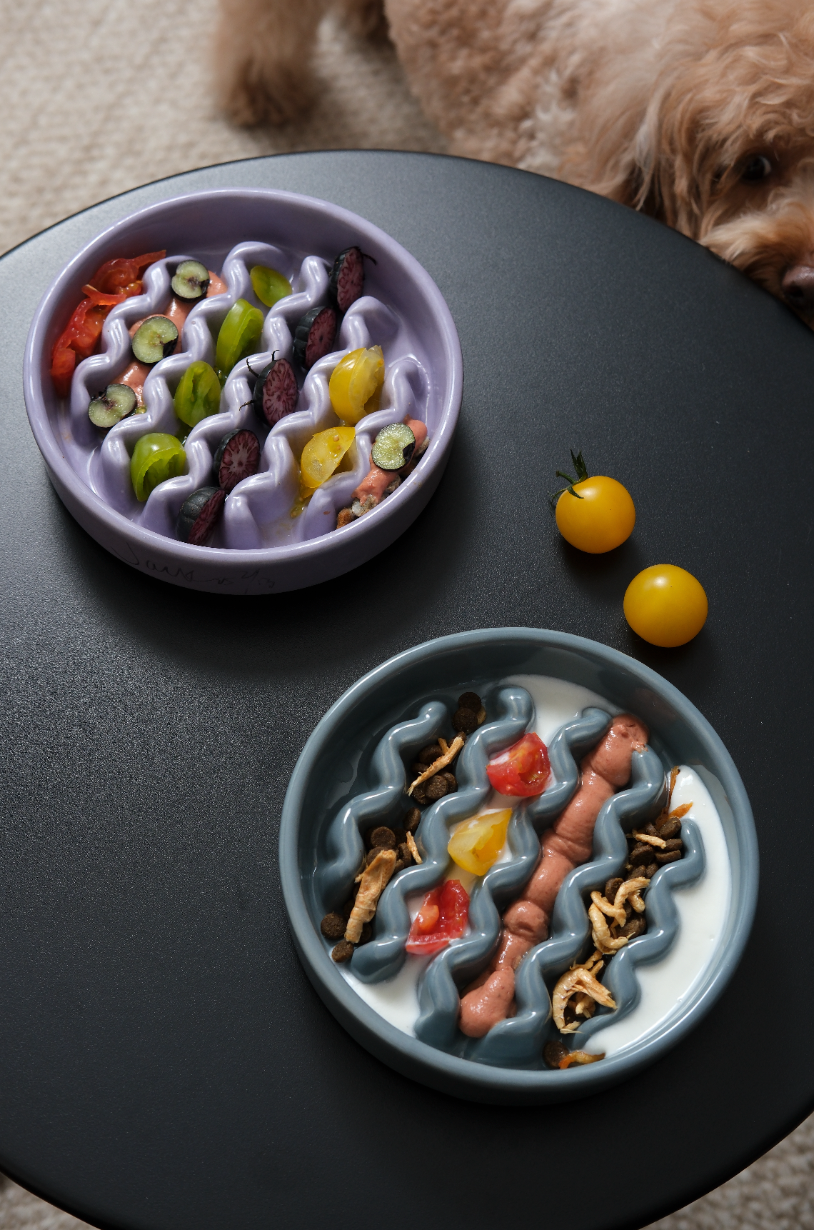 Slow Feeder Dog Bowls - Yellow / Frozen Blue / Purple
