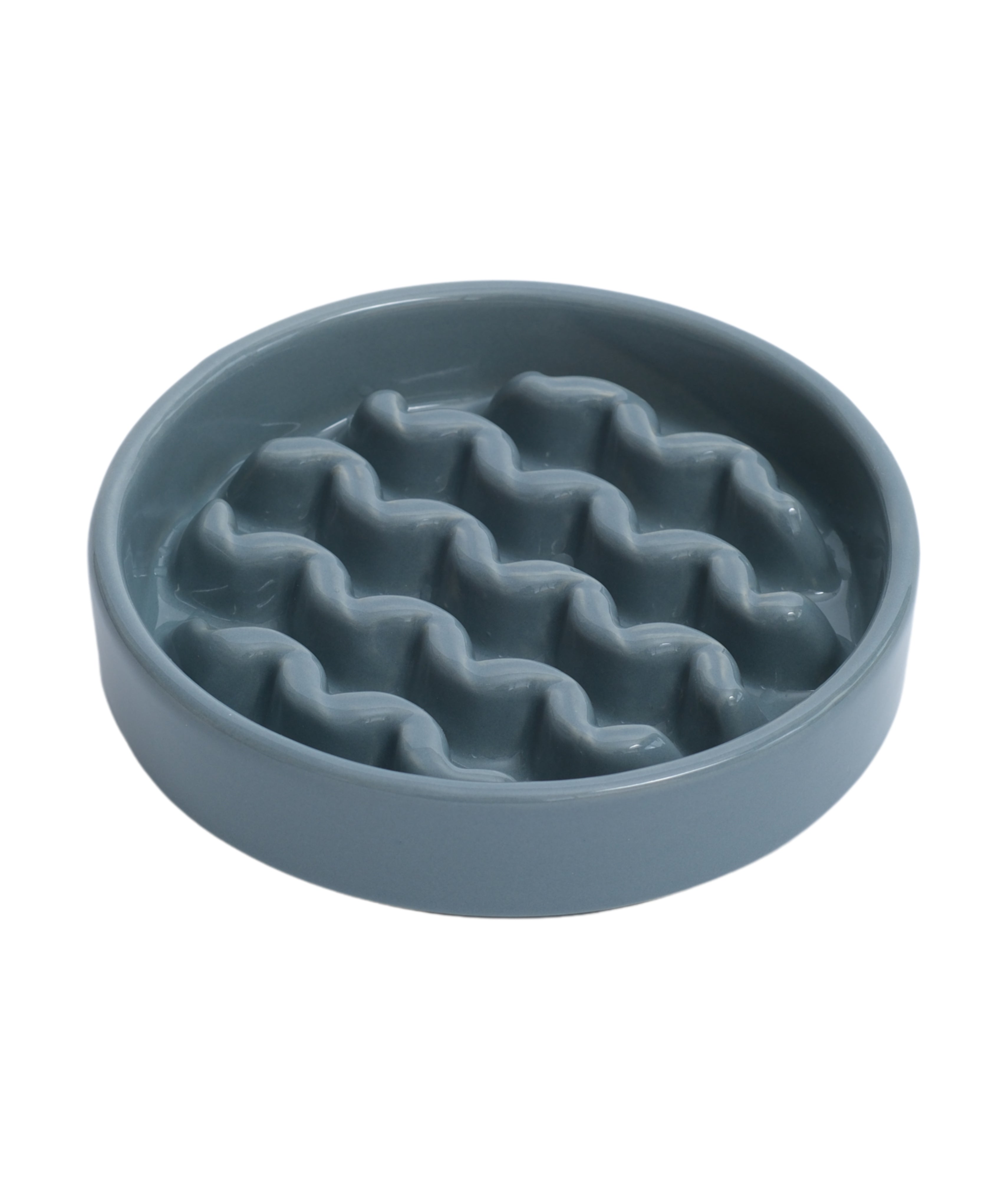 Slow Feeder Dog Bowls - Yellow / Frozen Blue / Purple